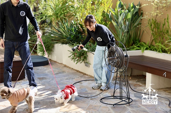 ホースリール〈メリー〉のあるお庭（大阪市／犬のほいくえんピーカーブーさま）