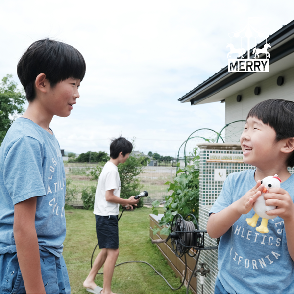 壁付け式メリー（ホース20ｍセット）　